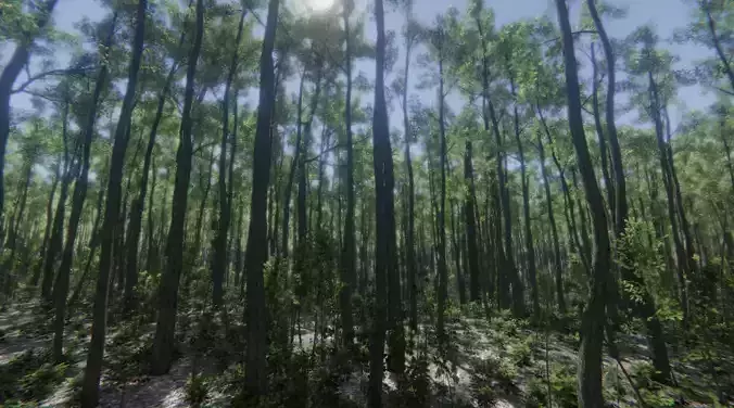 Unity Pack Nature Forest HQ trees