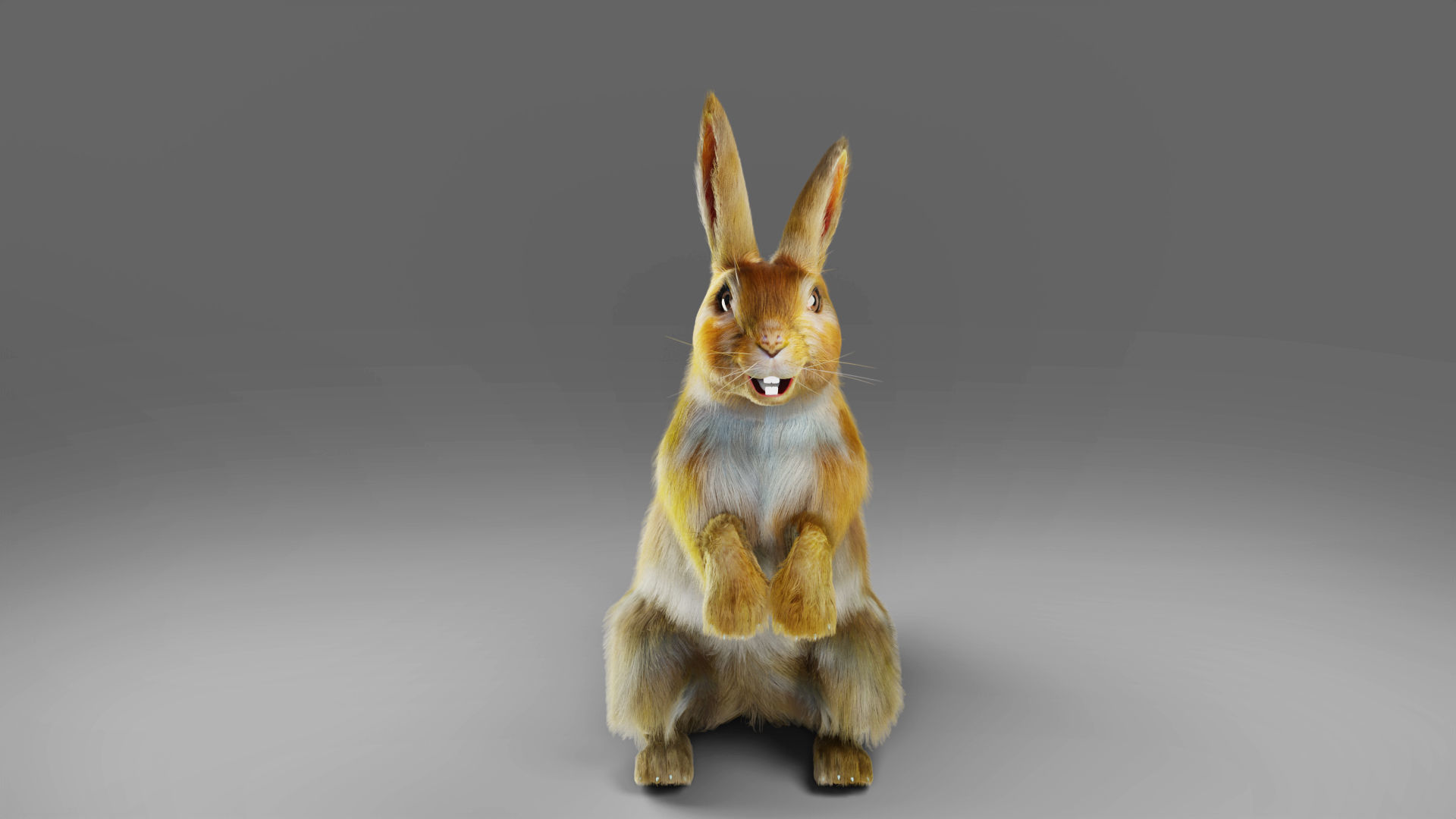 Fur Rabbit Rigged and Animation in Blender Low-poly 3D model_6