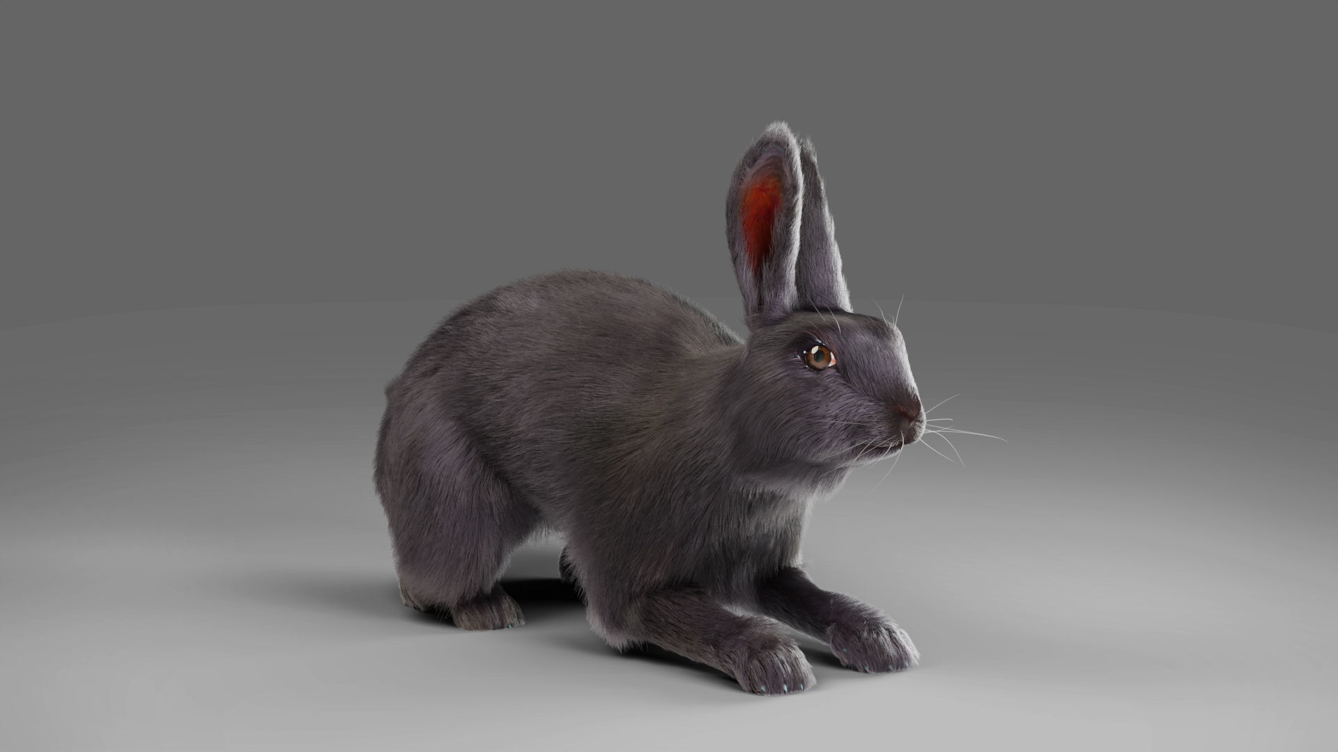Fur Rabbit Gray V02 Rigged and Animation  Low-poly 3D model_6