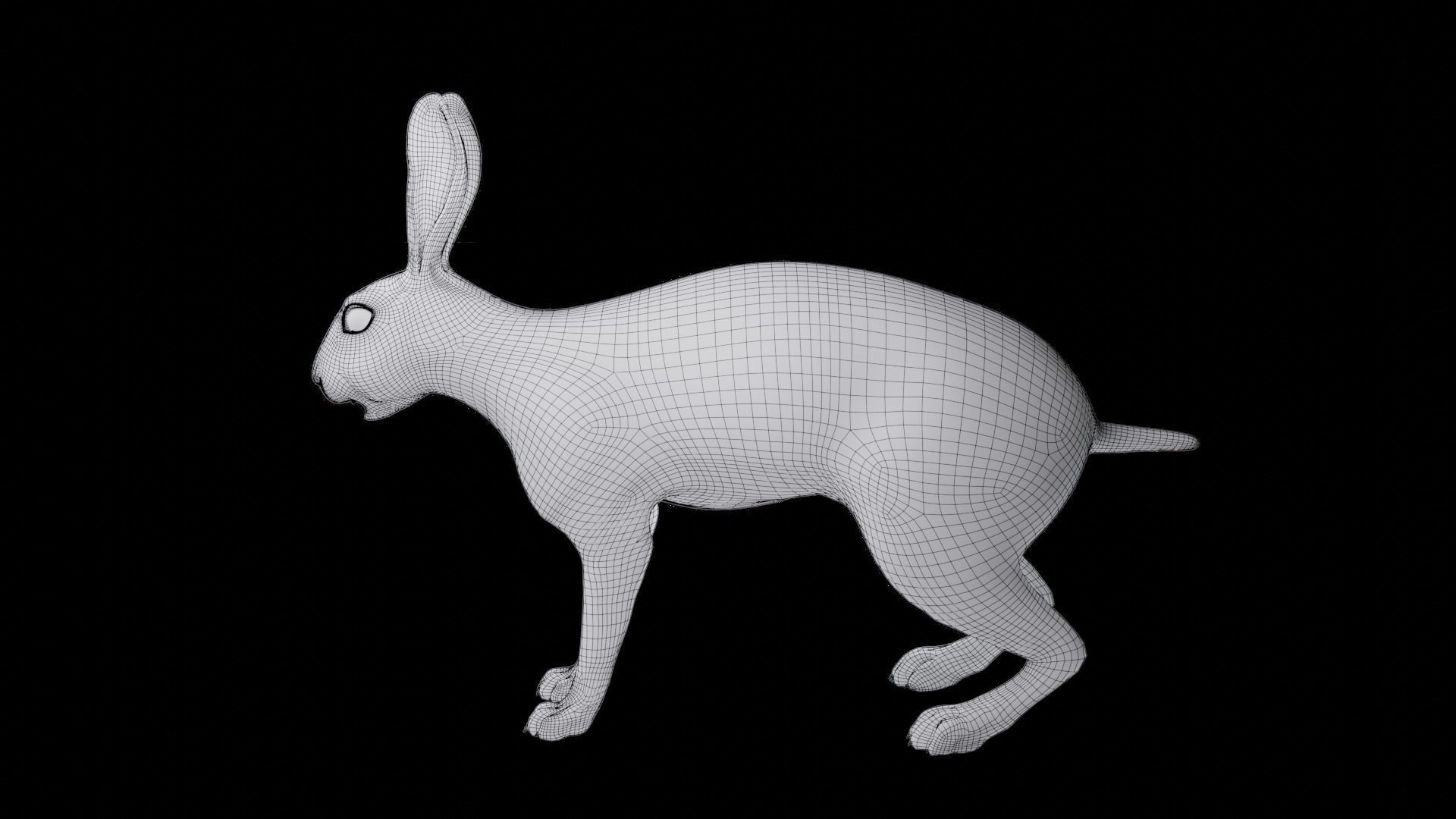 Fur Rabbit Gray V02 Rigged and Animation  Low-poly 3D model_26