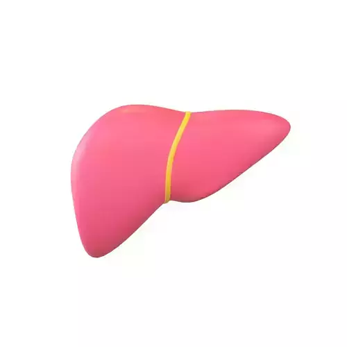 Cartoon Liver v1 002