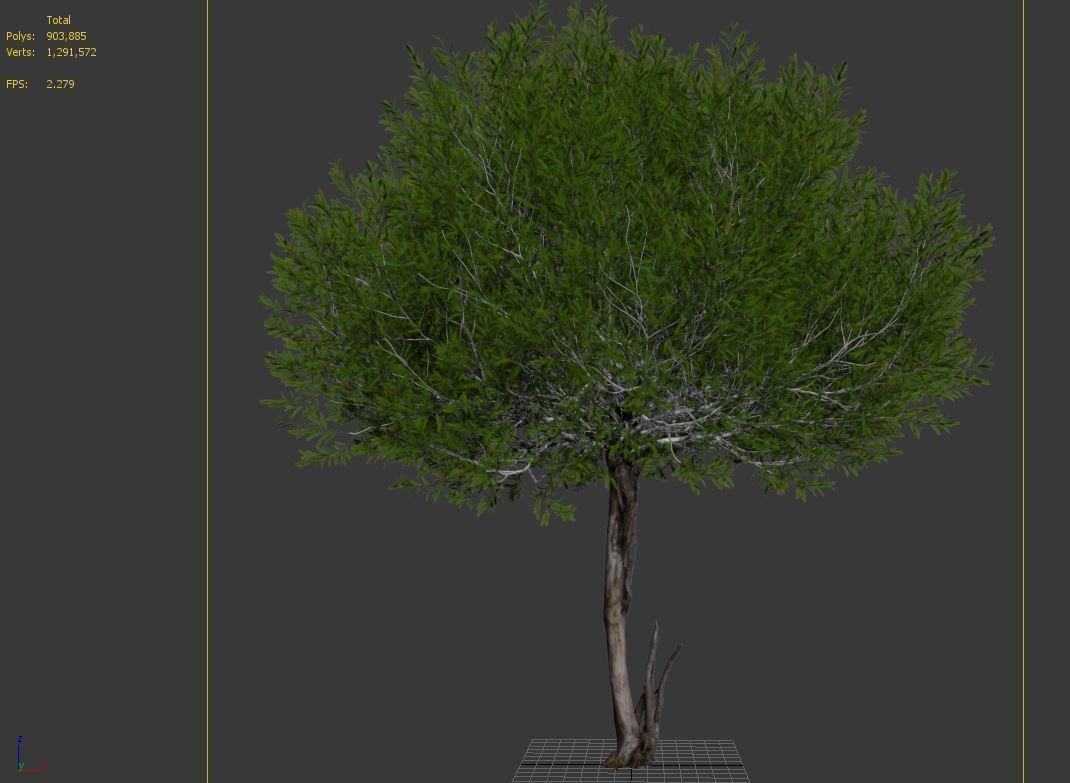 Black willow 02 3D model_4