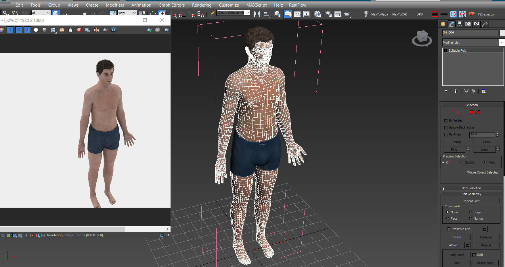Male Reproductive and Urinary Systems Low-poly 3D model_39