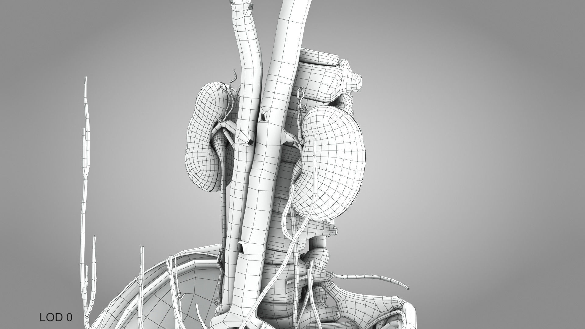 Male Reproductive and Urinary Systems Low-poly 3D model_18