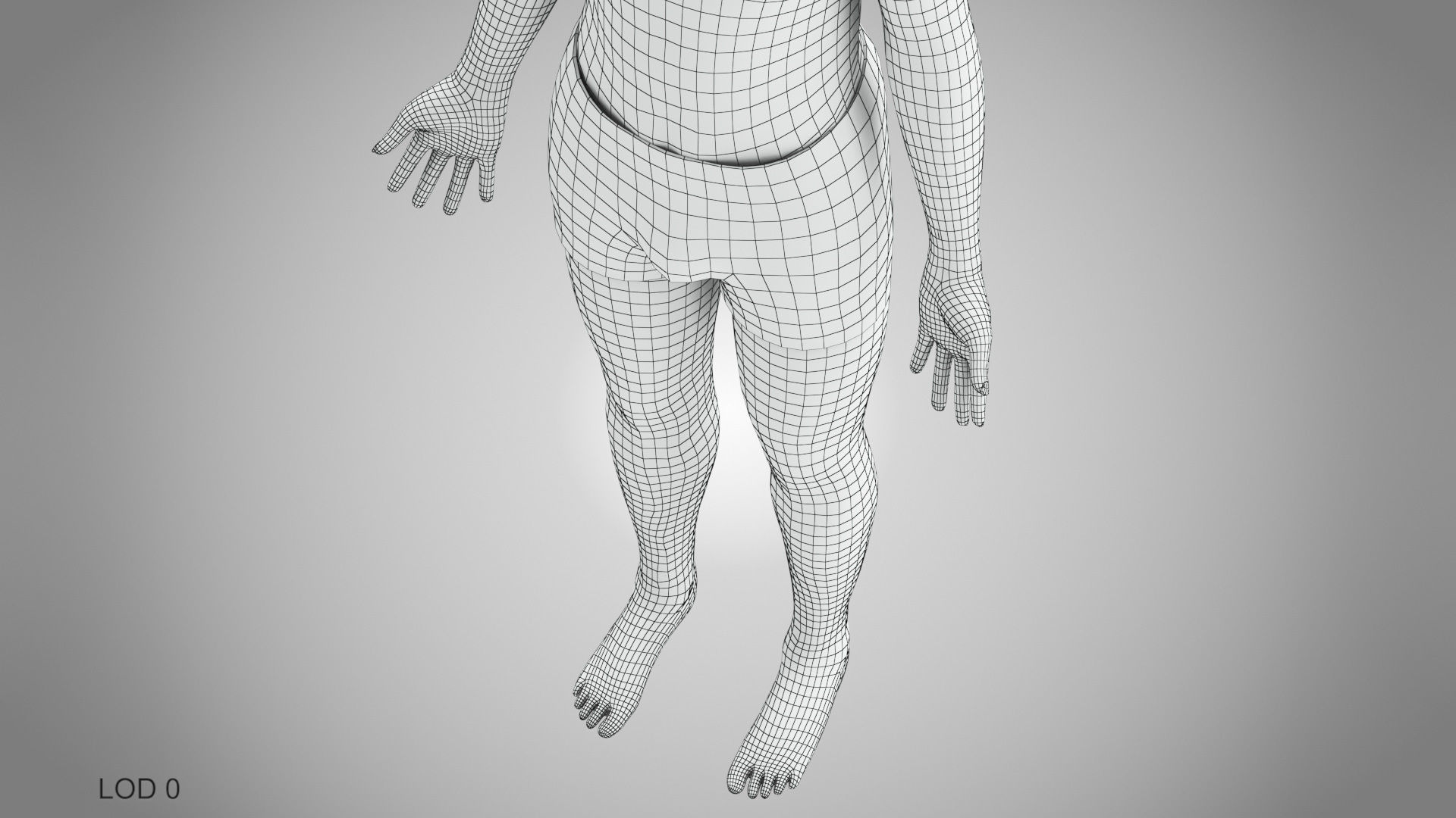 Male Reproductive and Urinary Systems Low-poly 3D model_50