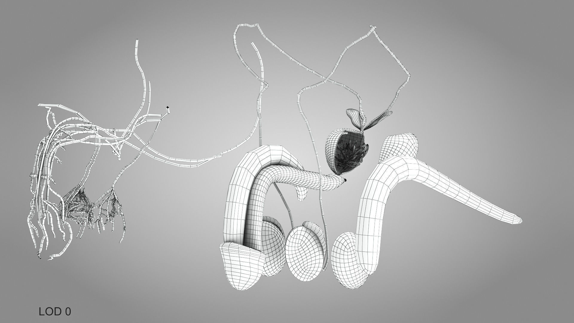 Male Reproductive and Urinary Systems Low-poly 3D model_31