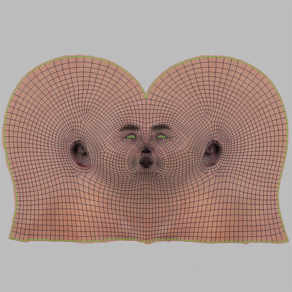 Male Reproductive and Urinary Systems Low-poly 3D model_36