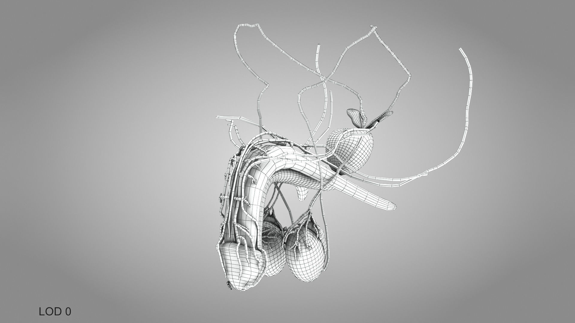 Male Reproductive and Urinary Systems Low-poly 3D model_27