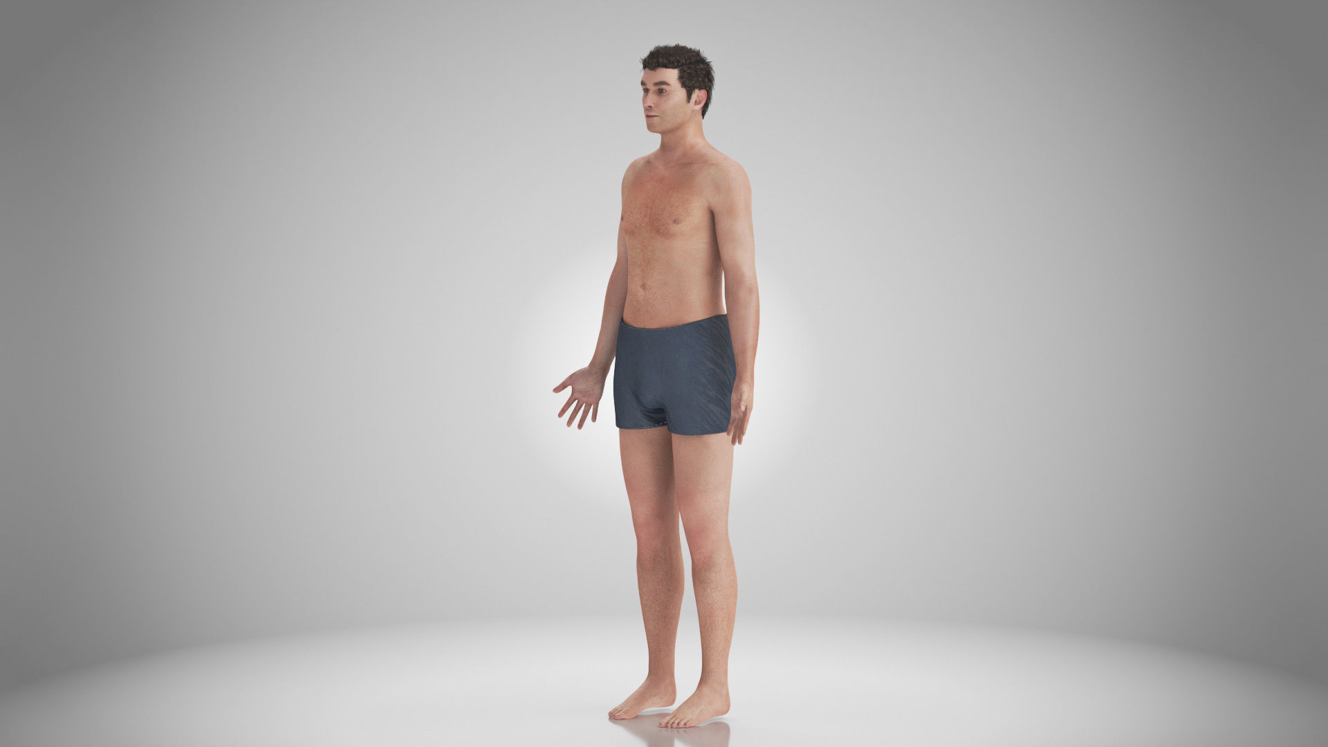 Male Reproductive and Urinary Systems Low-poly 3D model_48