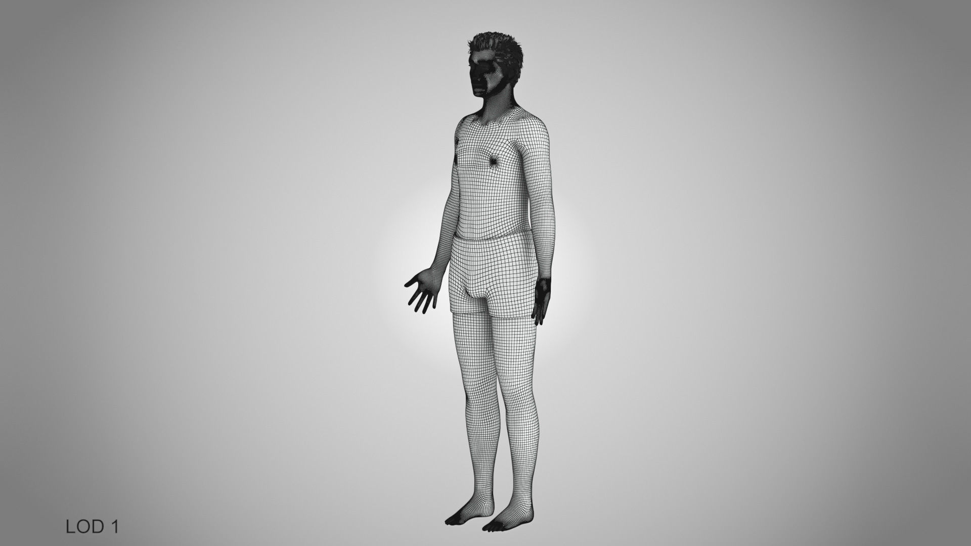 Male Reproductive and Urinary Systems Low-poly 3D model_53