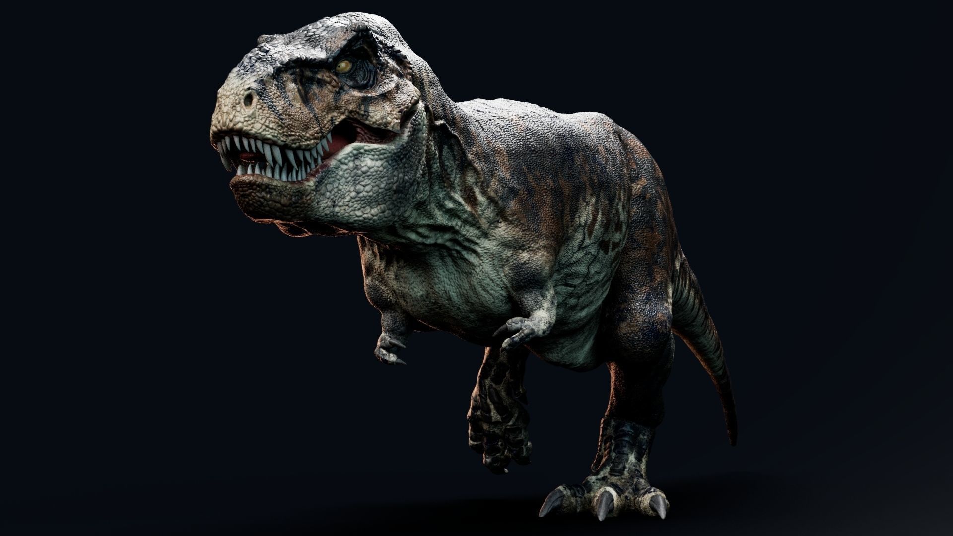 Dinosaur Tyrannosaurus Rex Sue Real Dinosaur Series Low-poly 3D model_35
