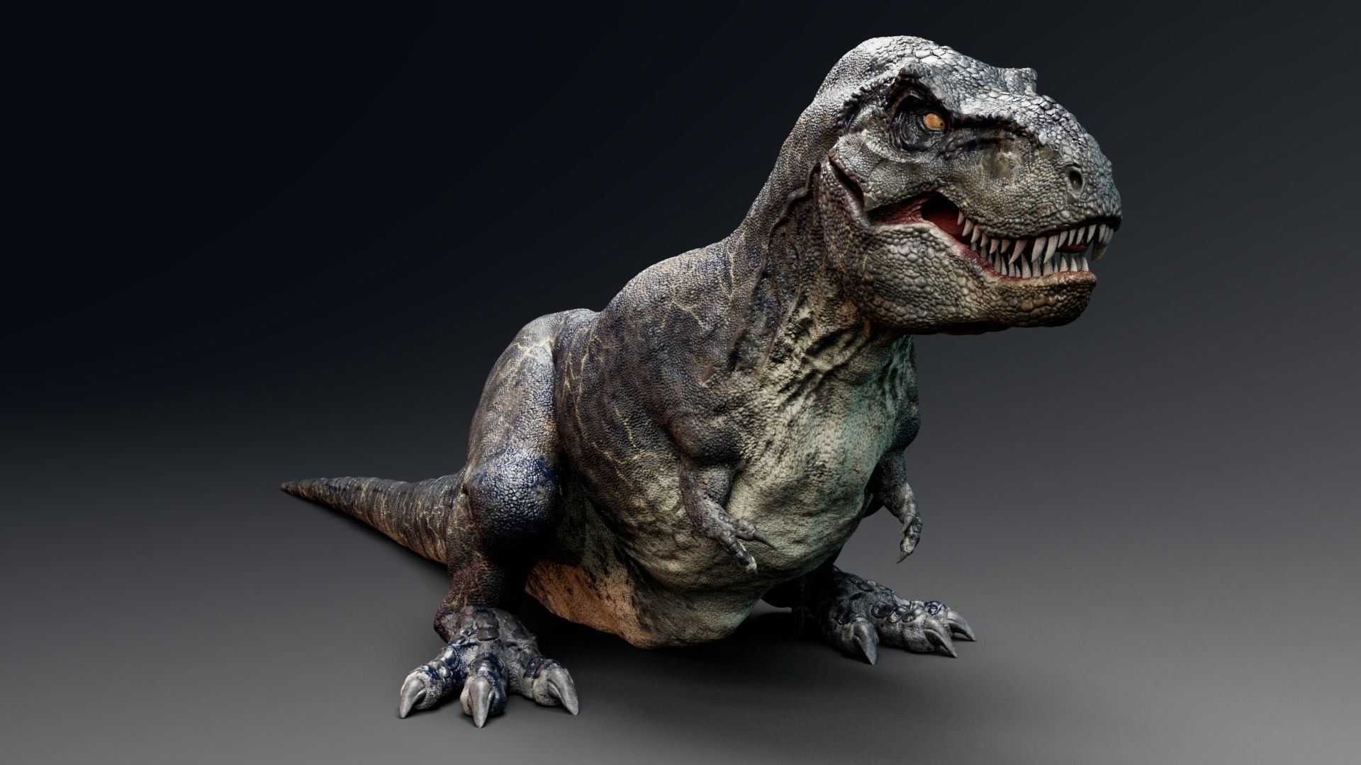 Dinosaur Tyrannosaurus Rex Sue Real Dinosaur Series Low-poly 3D model_26