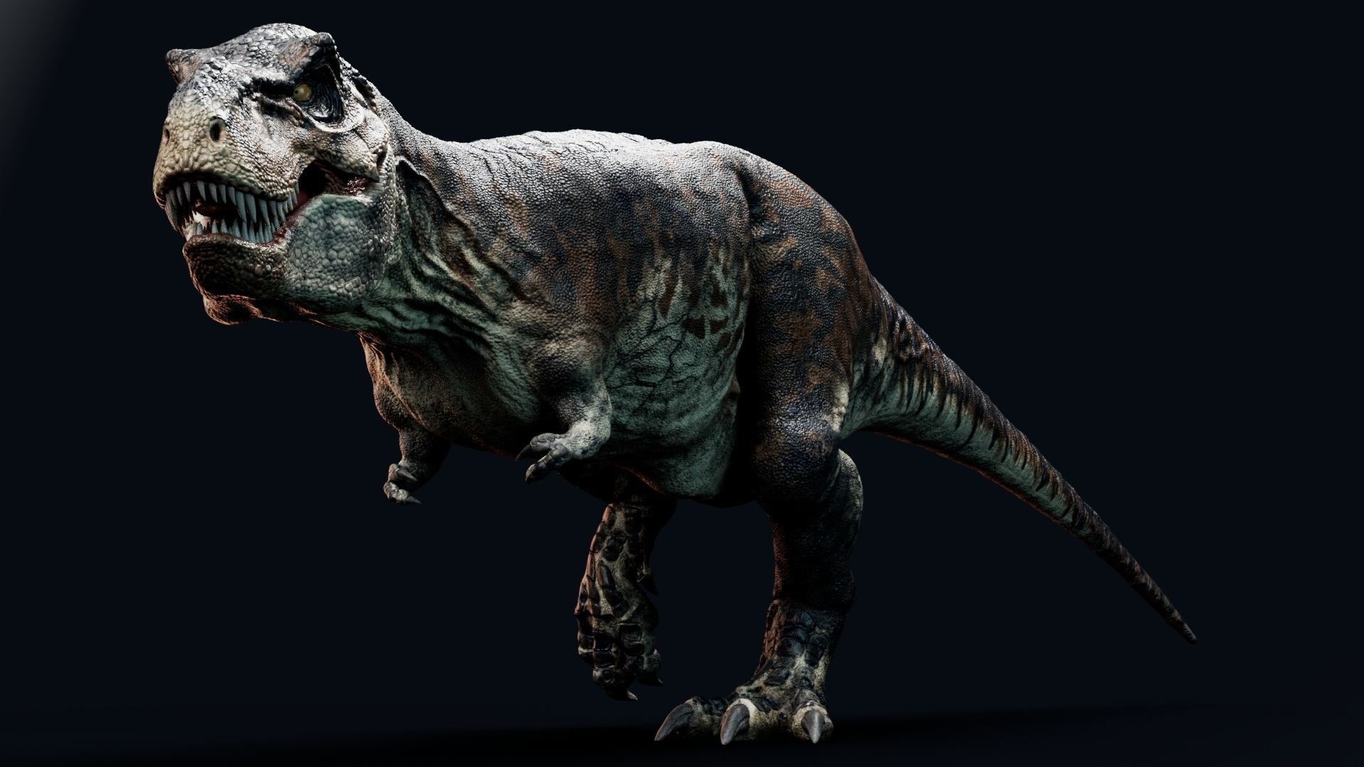Dinosaur Tyrannosaurus Rex Sue Real Dinosaur Series Low-poly 3D model_30