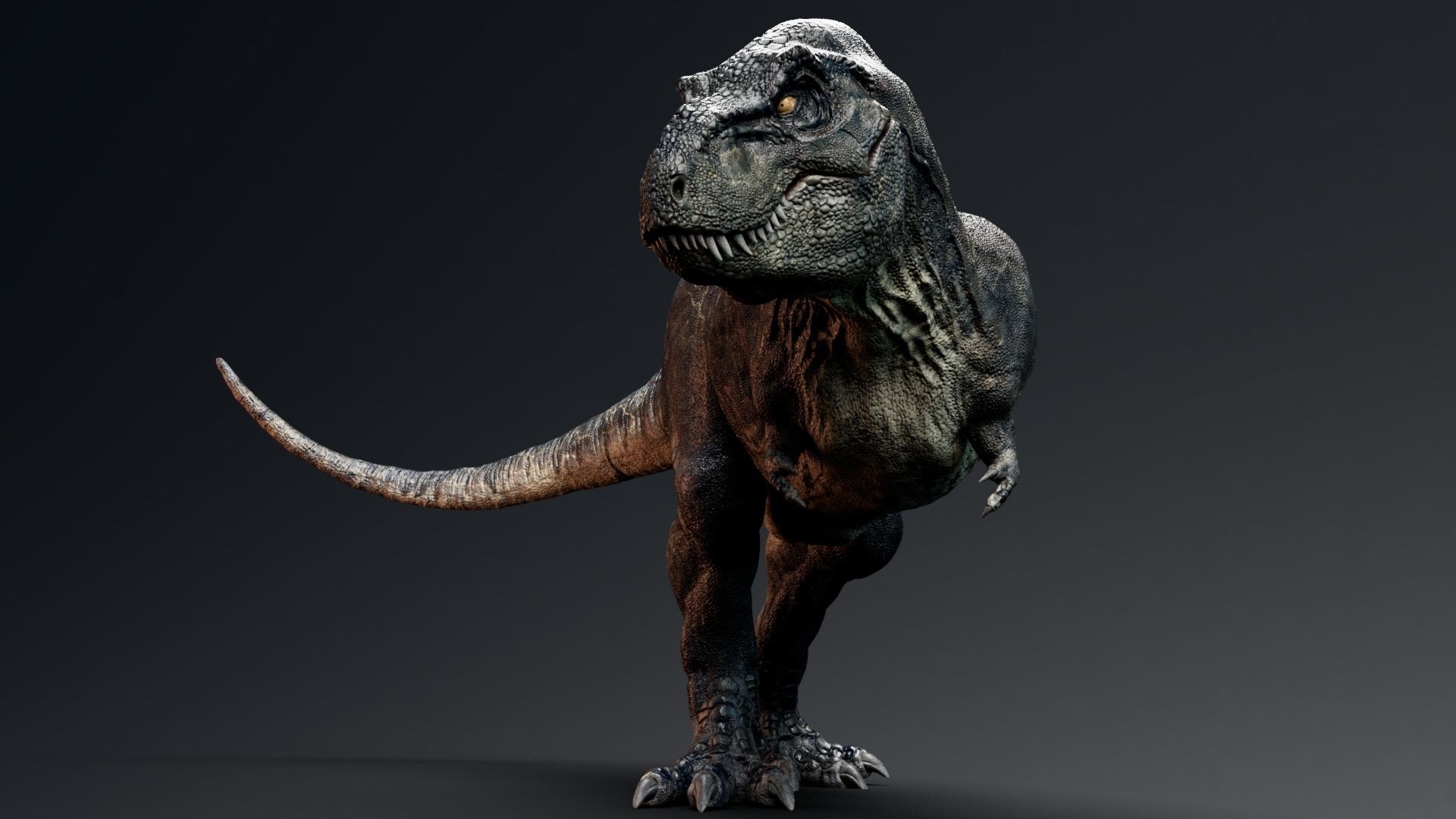 Dinosaur Tyrannosaurus Rex Sue Real Dinosaur Series Low-poly 3D model_23