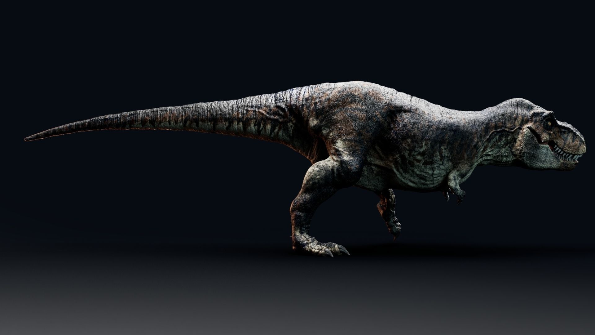Dinosaur Tyrannosaurus Rex Sue Real Dinosaur Series Low-poly 3D model_38