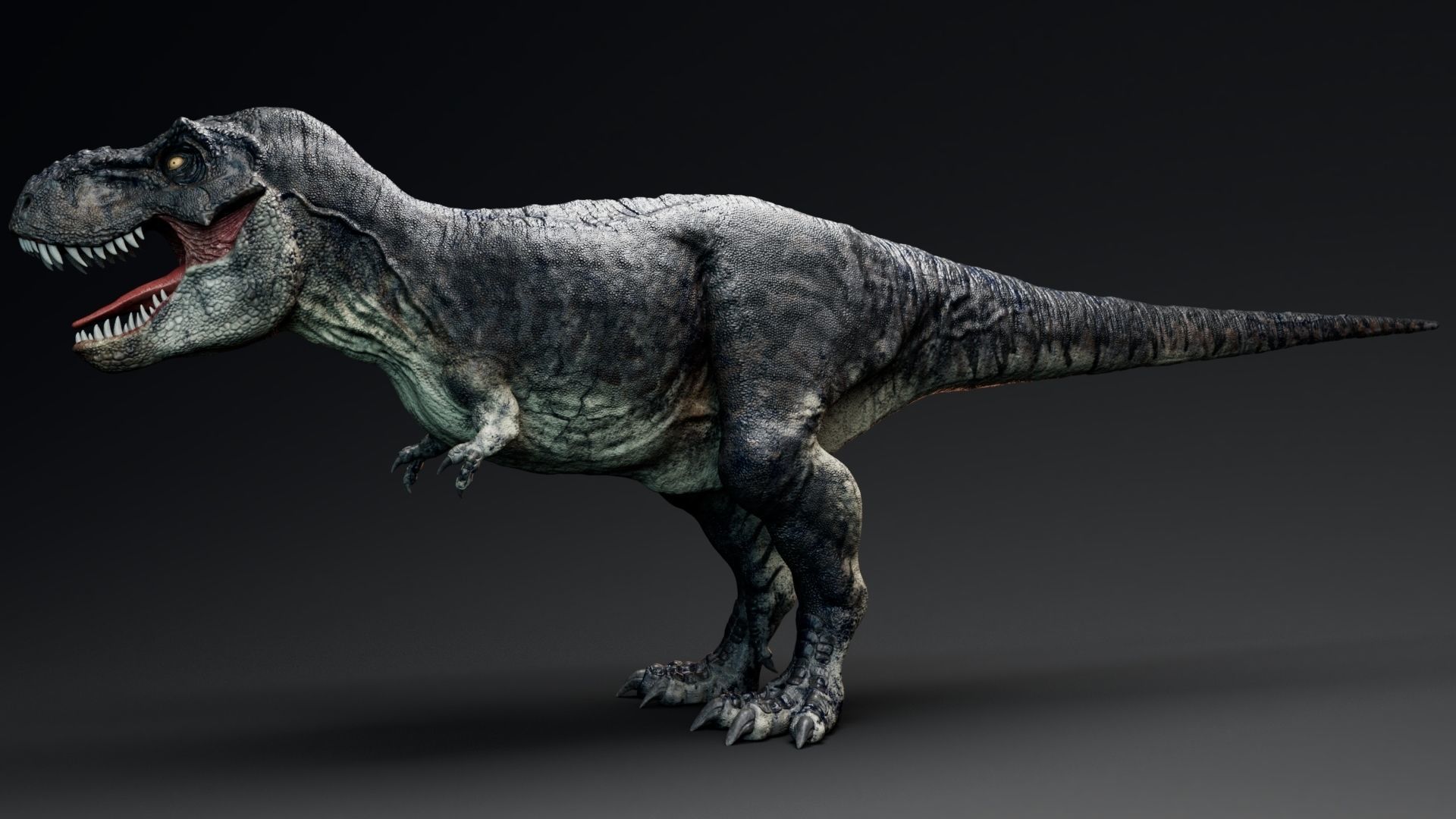 Dinosaur Tyrannosaurus Rex Sue Real Dinosaur Series Low-poly 3D model_6