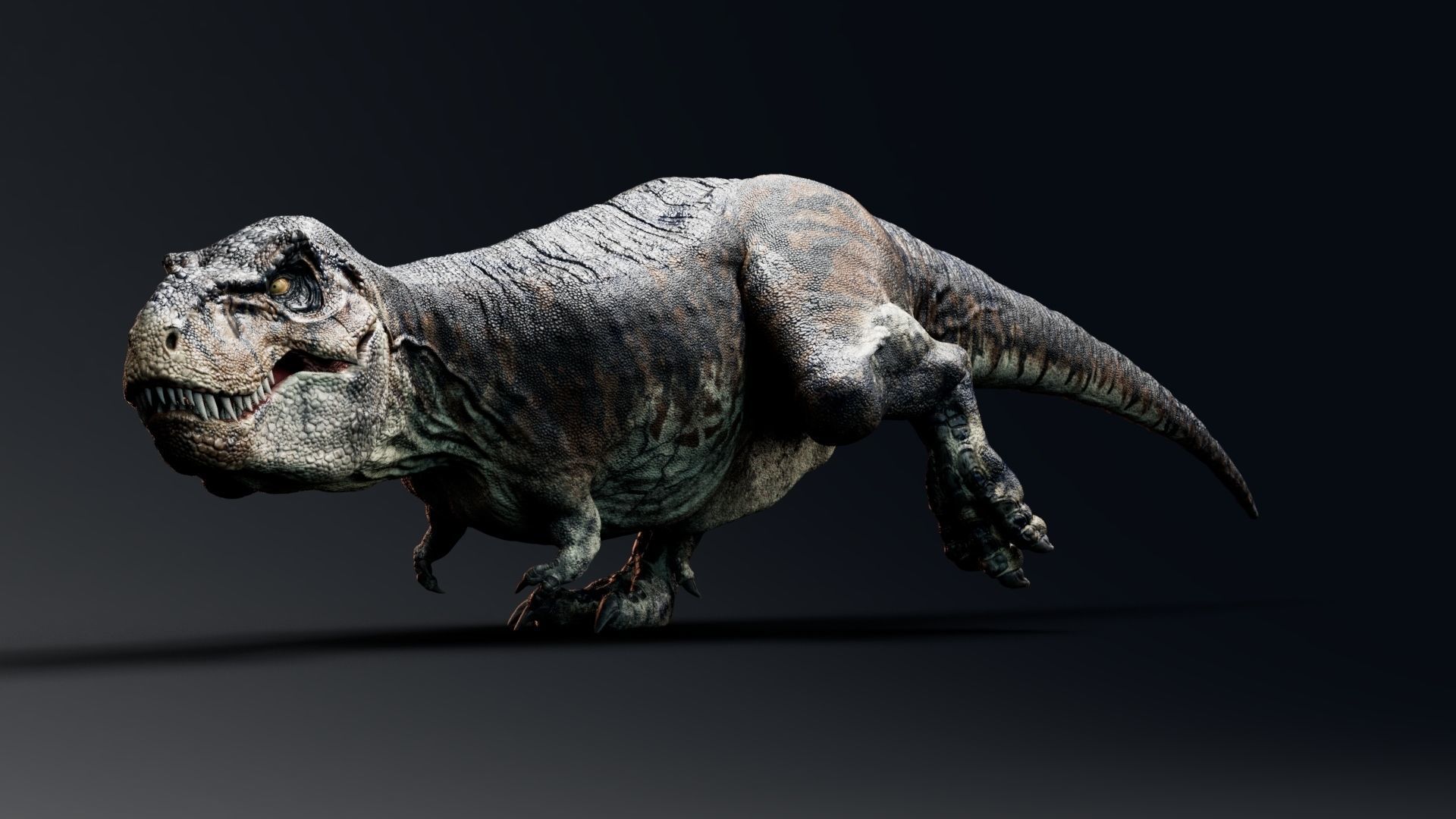 Dinosaur Tyrannosaurus Rex Sue Real Dinosaur Series Low-poly 3D model_40
