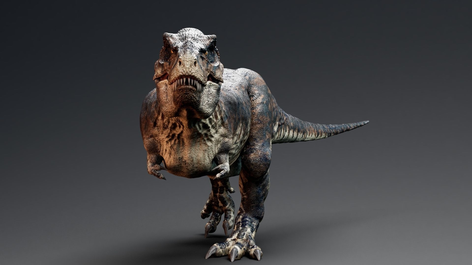 Dinosaur Tyrannosaurus Rex Sue Real Dinosaur Series Low-poly 3D model_41