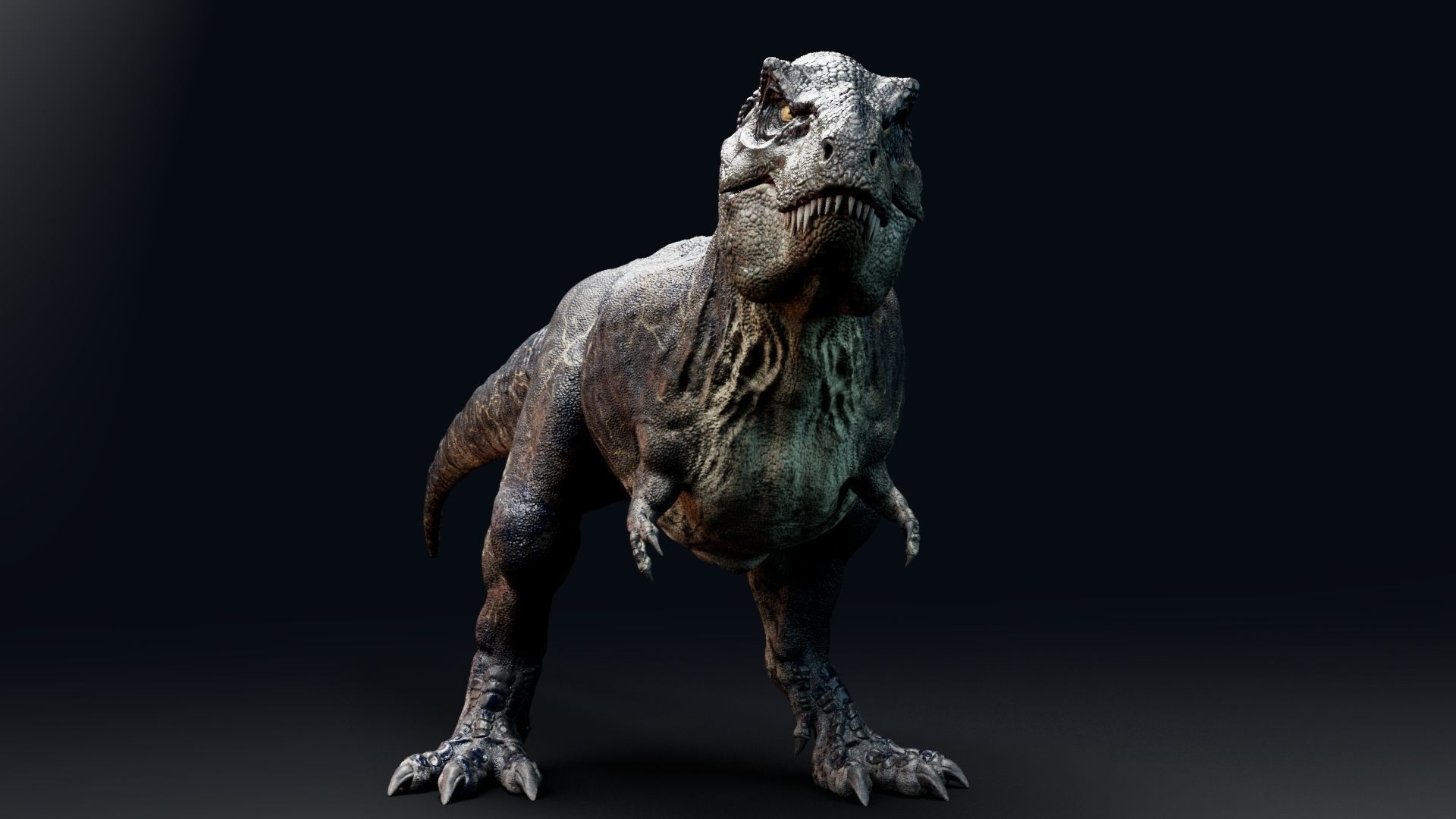 Dinosaur Tyrannosaurus Rex Sue Real Dinosaur Series Low-poly 3D model_24