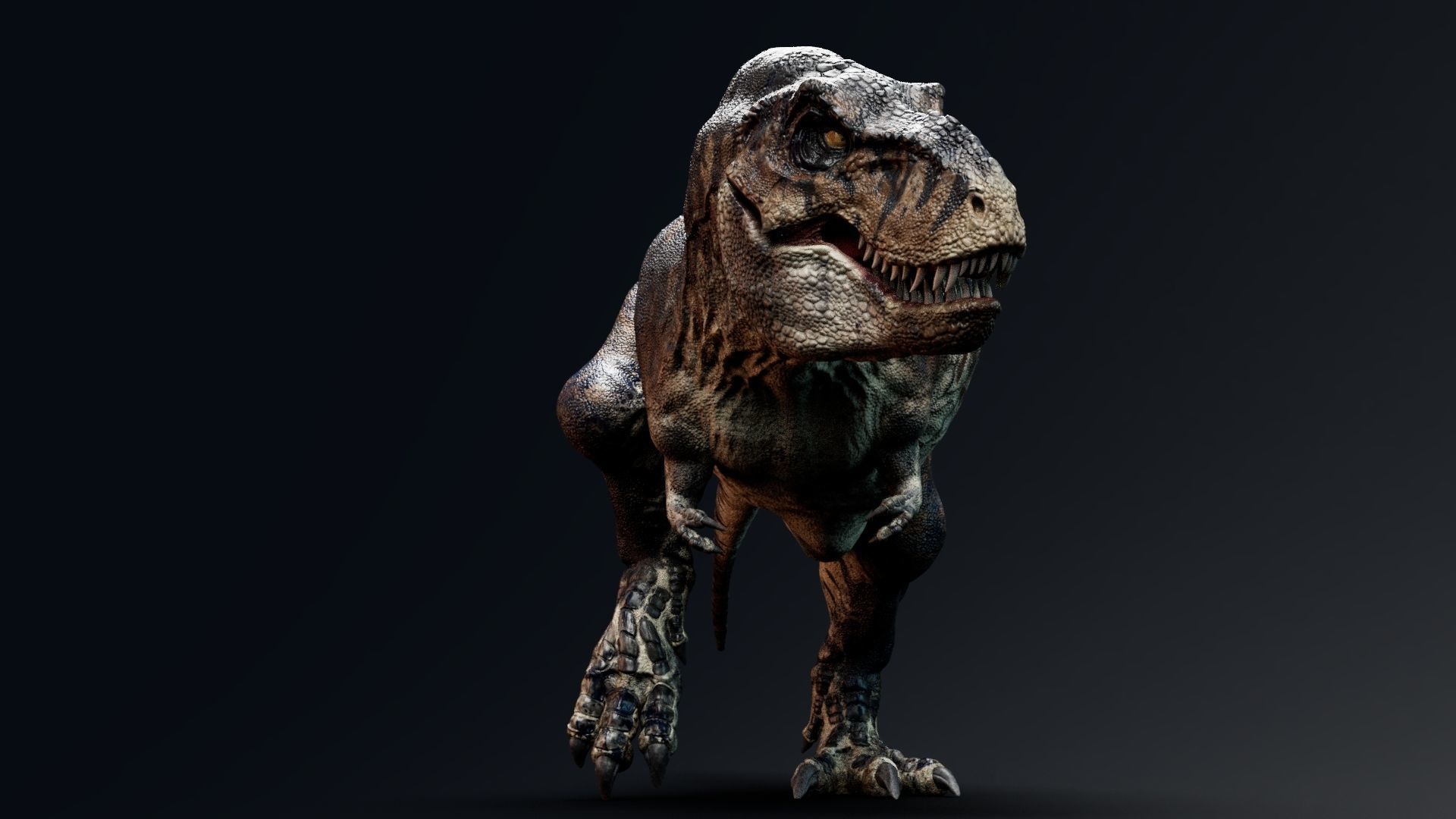Dinosaur Tyrannosaurus Rex Sue Real Dinosaur Series Low-poly 3D model_33