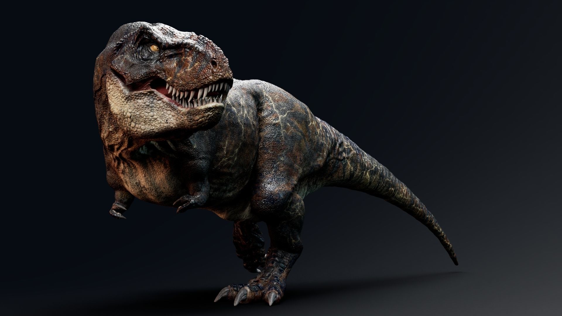 Dinosaur Tyrannosaurus Rex Sue Real Dinosaur Series Low-poly 3D model_36
