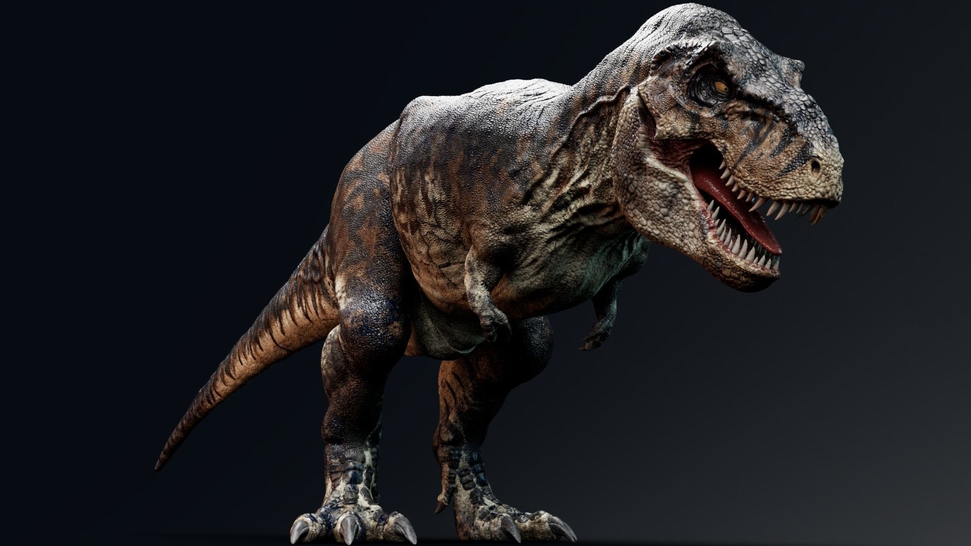 Dinosaur Tyrannosaurus Rex Sue Real Dinosaur Series Low-poly 3D model_28