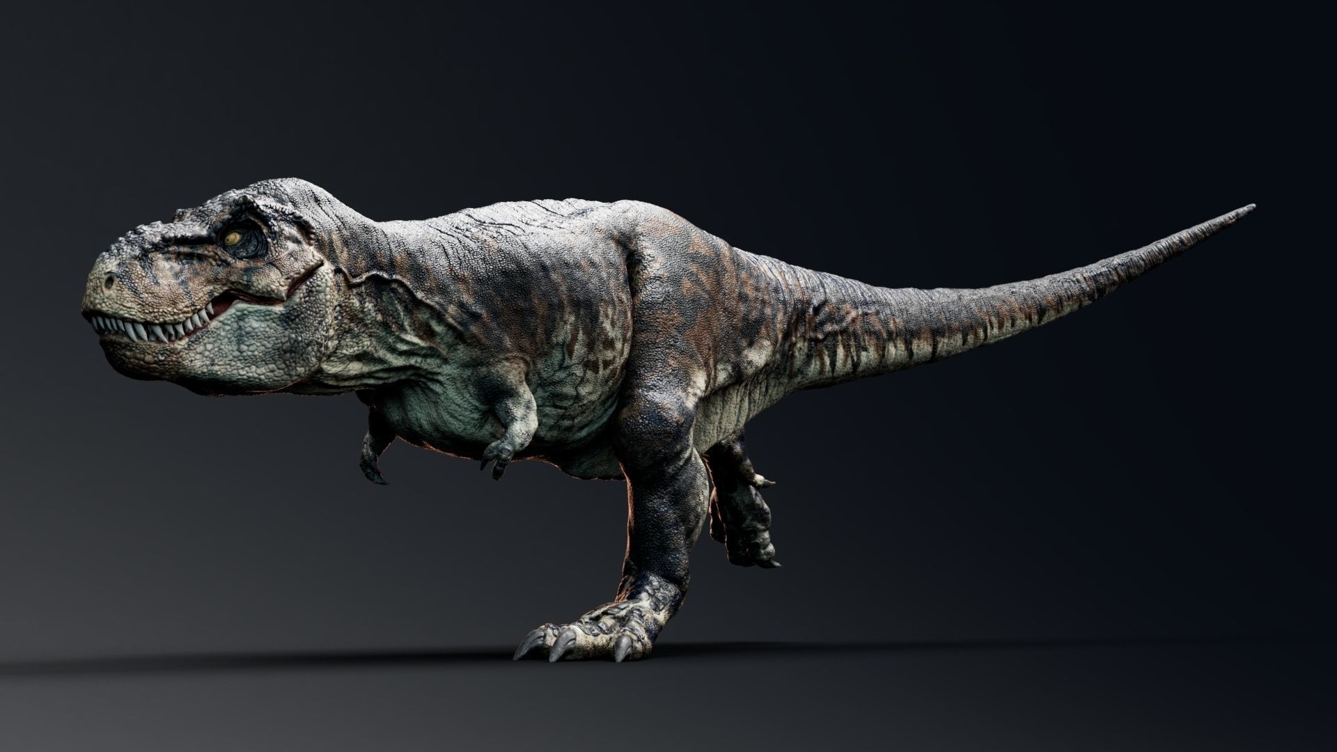 Dinosaur Tyrannosaurus Rex Sue Real Dinosaur Series Low-poly 3D model_37