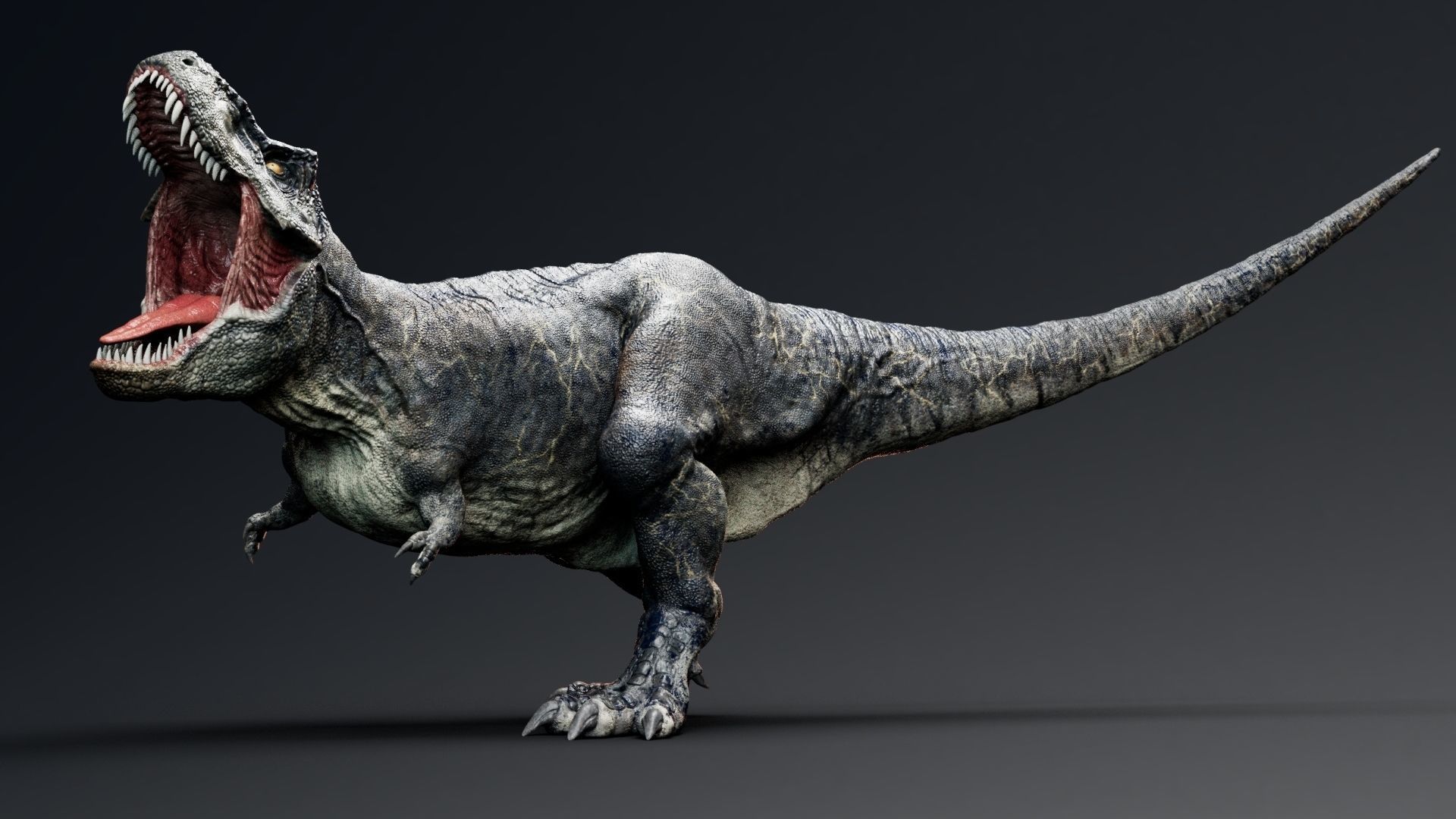 Dinosaur Tyrannosaurus Rex Sue Real Dinosaur Series Low-poly 3D model_25