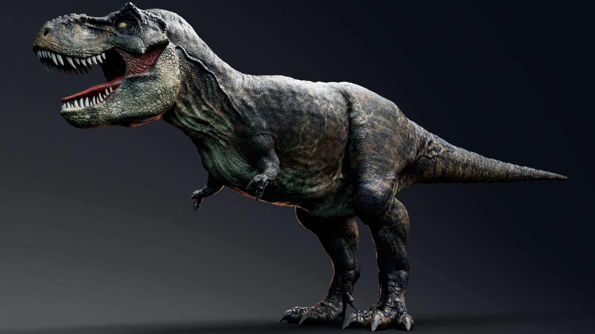 Dinosaur Tyrannosaurus Rex Sue Real Dinosaur Series Low-poly 3D model_22