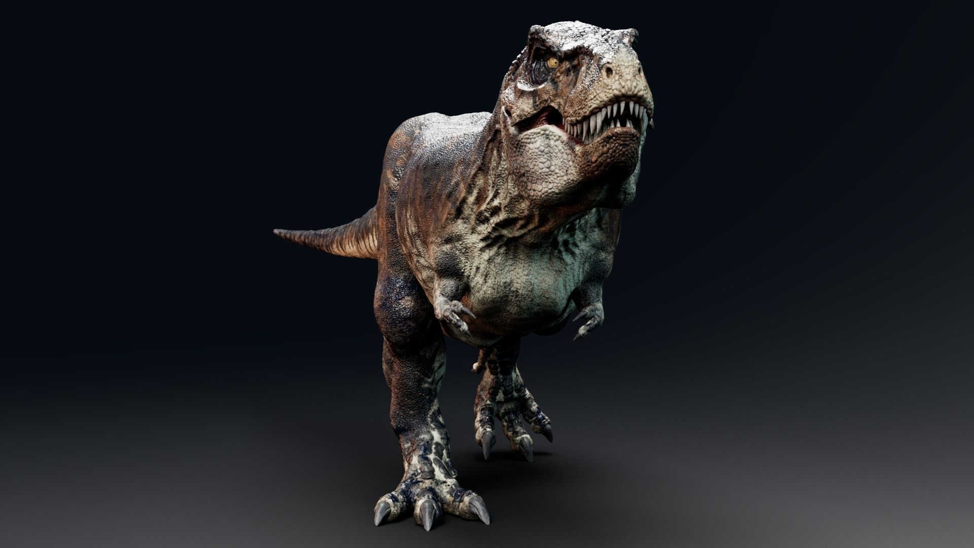 Dinosaur Tyrannosaurus Rex Sue Real Dinosaur Series Low-poly 3D model_29