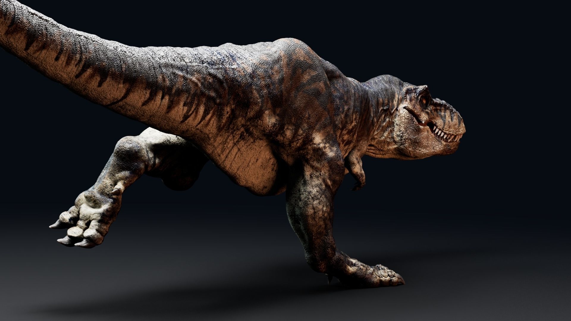 Dinosaur Tyrannosaurus Rex Sue Real Dinosaur Series Low-poly 3D model_46