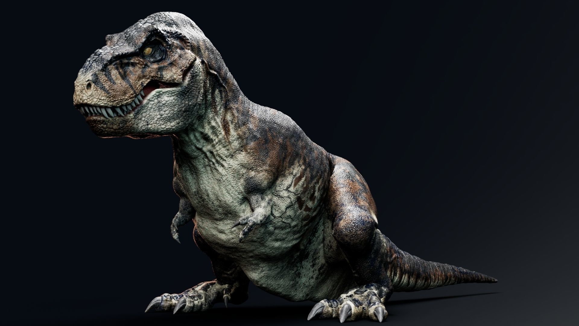 Dinosaur Tyrannosaurus Rex Sue Real Dinosaur Series Low-poly 3D model_27