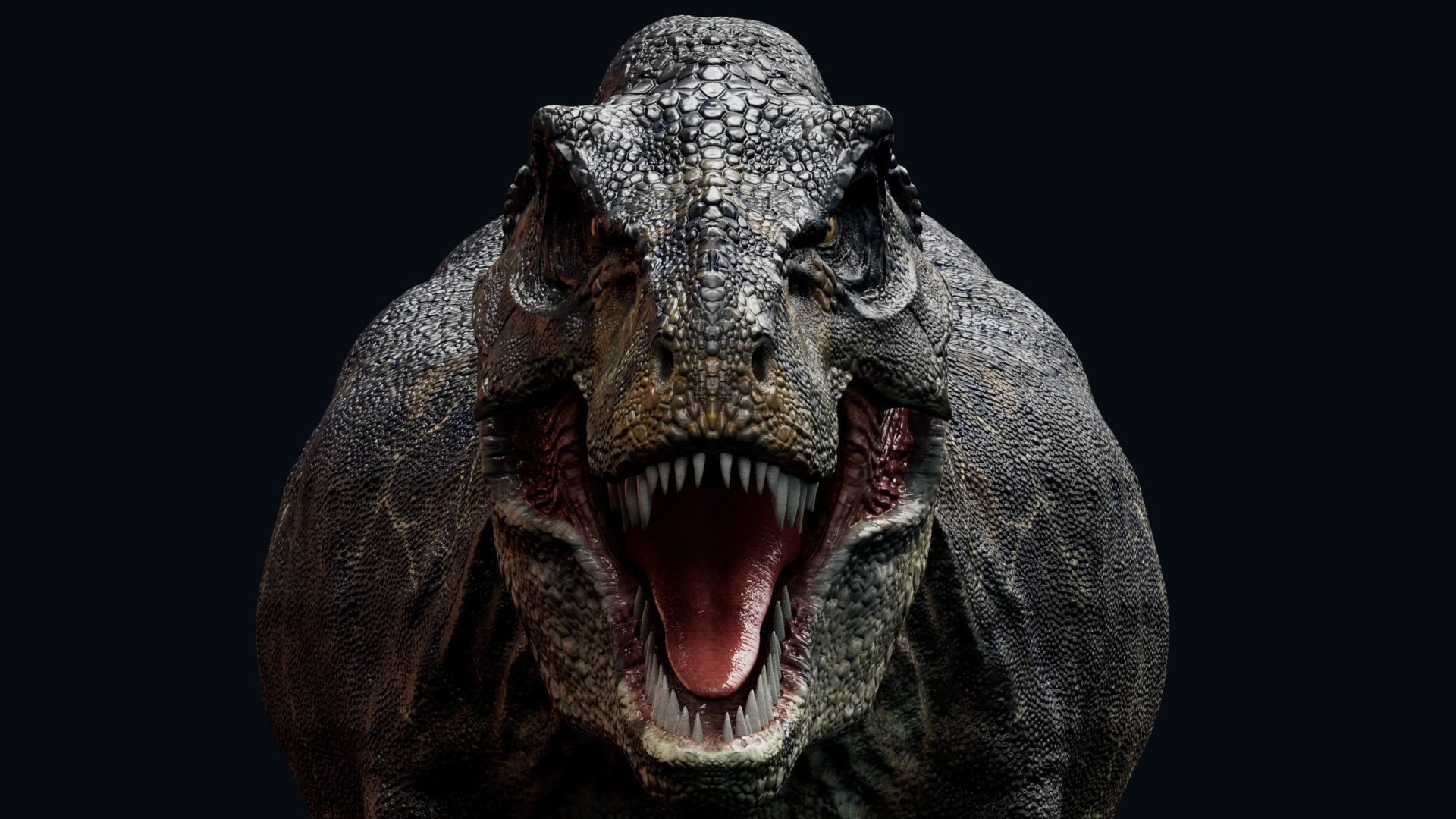 Dinosaur Tyrannosaurus Rex Sue Real Dinosaur Series Low-poly 3D model_20