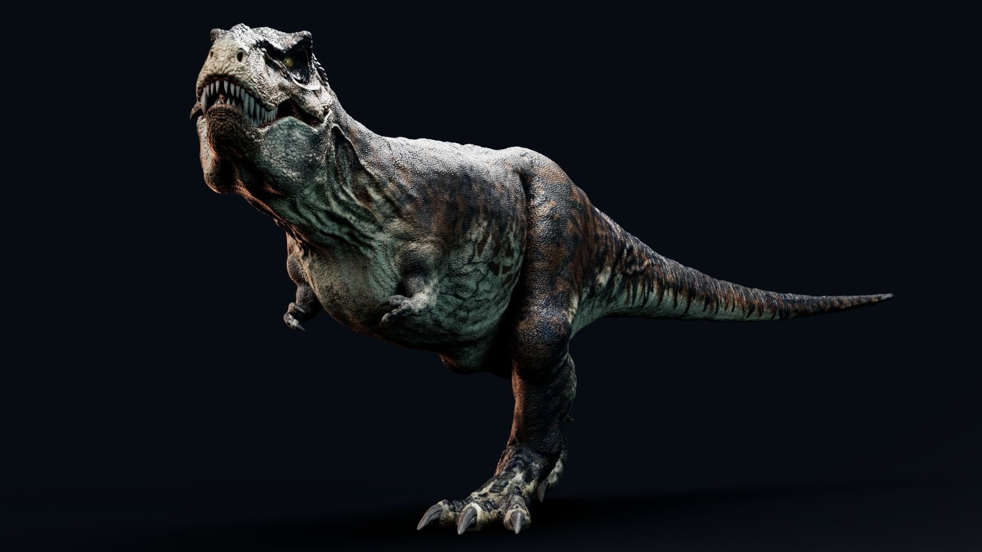 Dinosaur Tyrannosaurus Rex Sue Real Dinosaur Series Low-poly 3D model_32