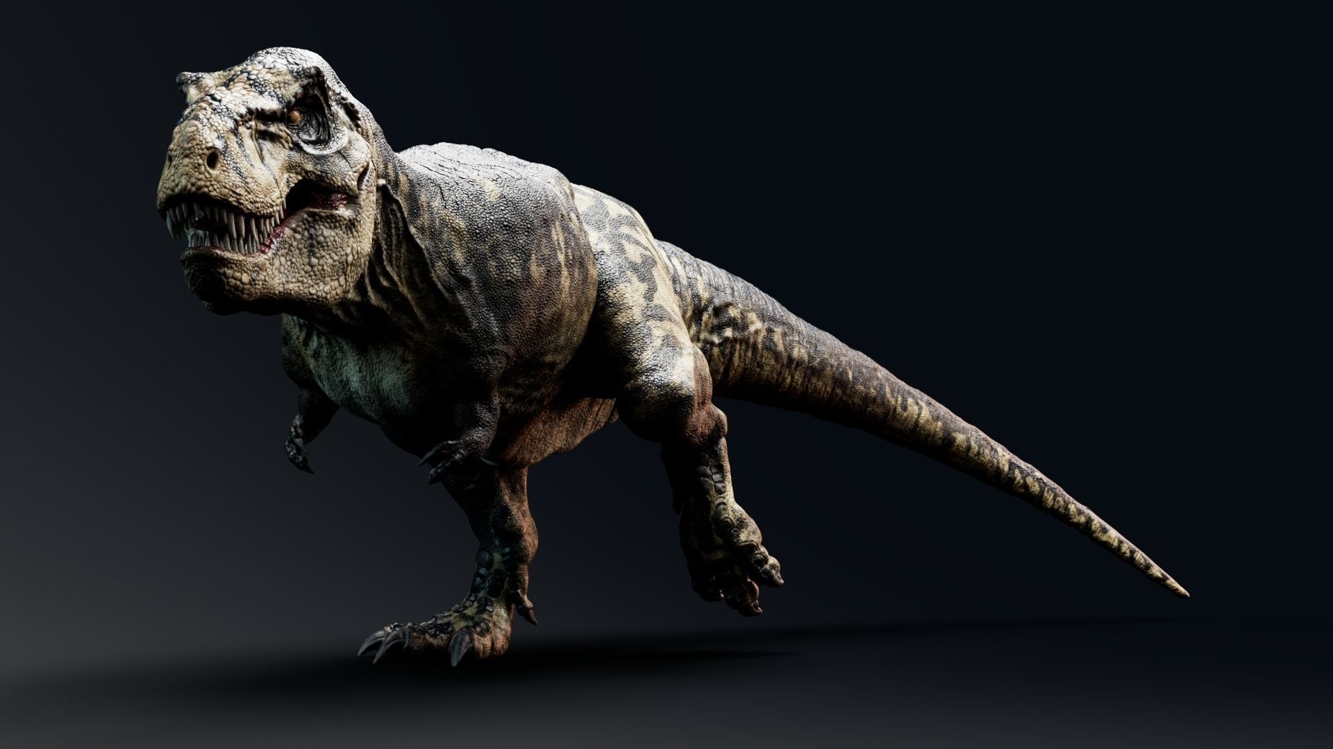 Dinosaur Tyrannosaurus Rex Sue Real Dinosaur Series Low-poly 3D model_45