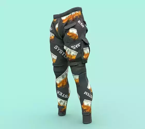 Tactical pants