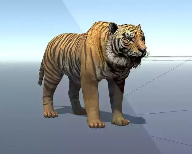 Lowpoly Tiger Rigged and Animated for VR AR Games Low-poly 3D model