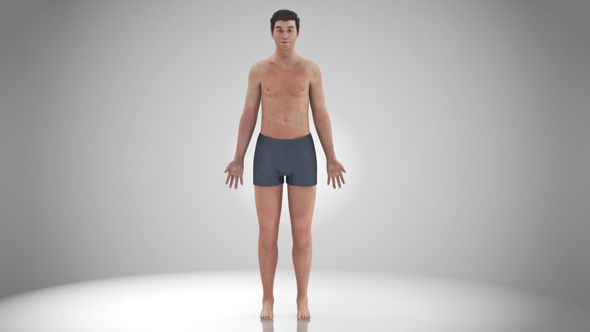 Male reproductive and urinary system Low-poly 3D model_48