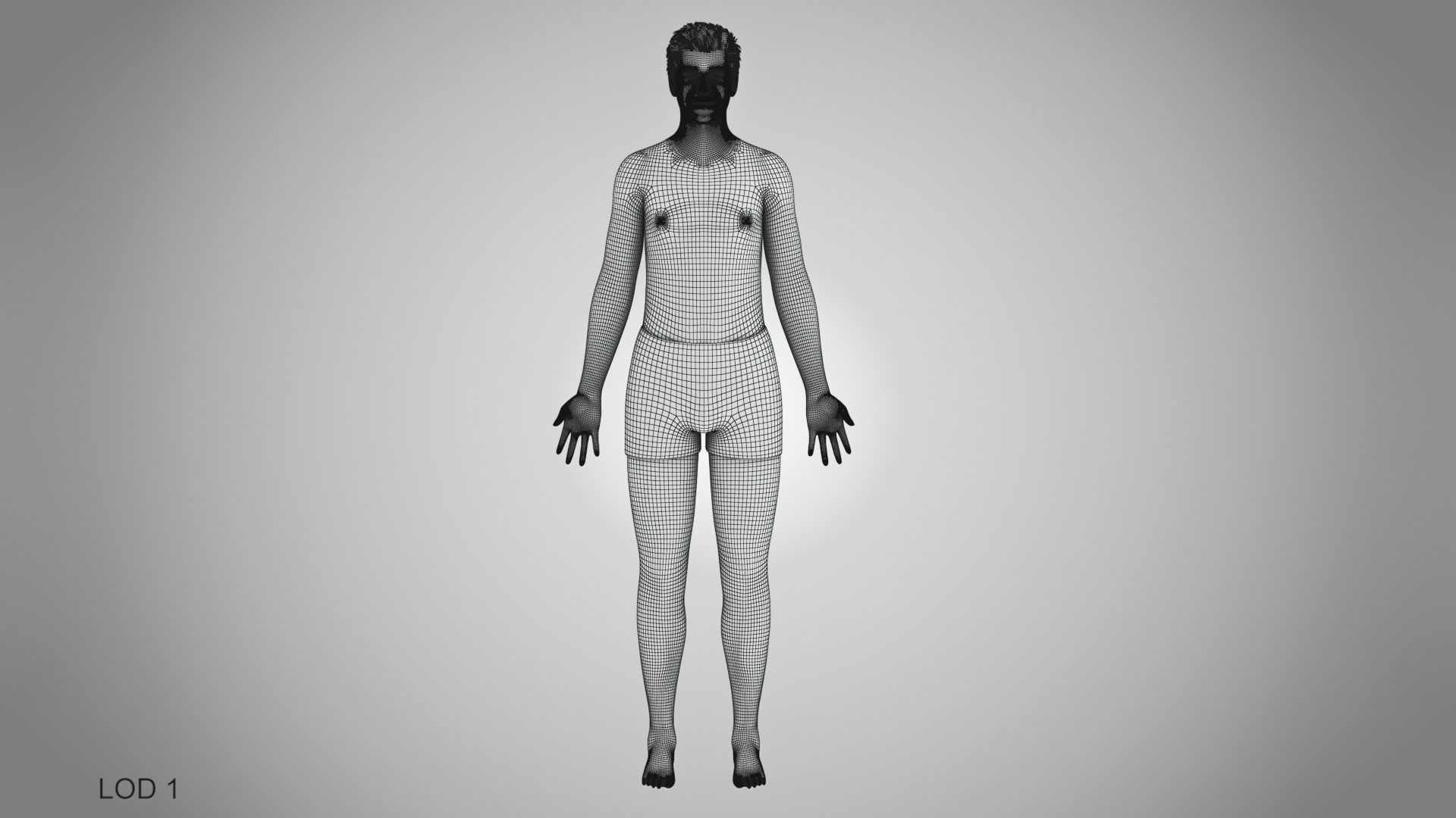 Male reproductive and urinary system Low-poly 3D model_52