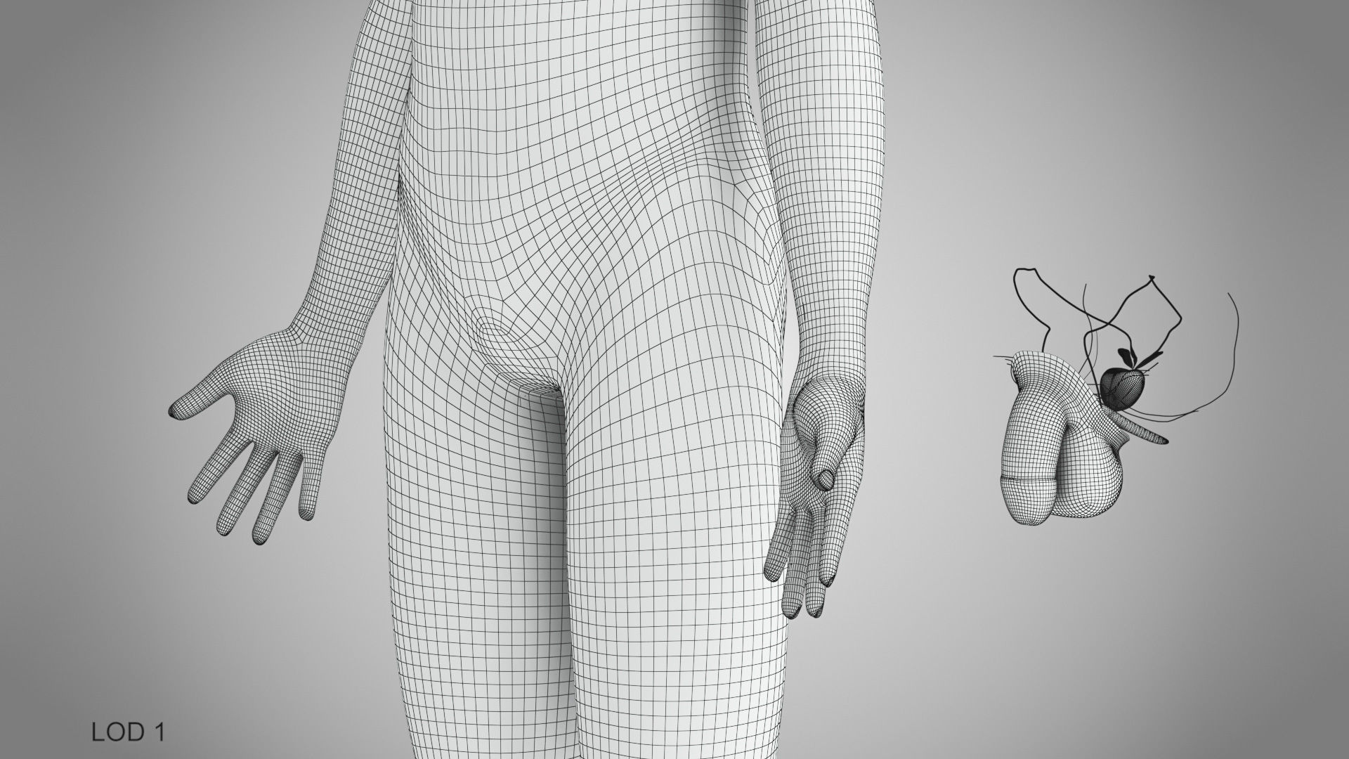 Male reproductive and urinary system Low-poly 3D model_53