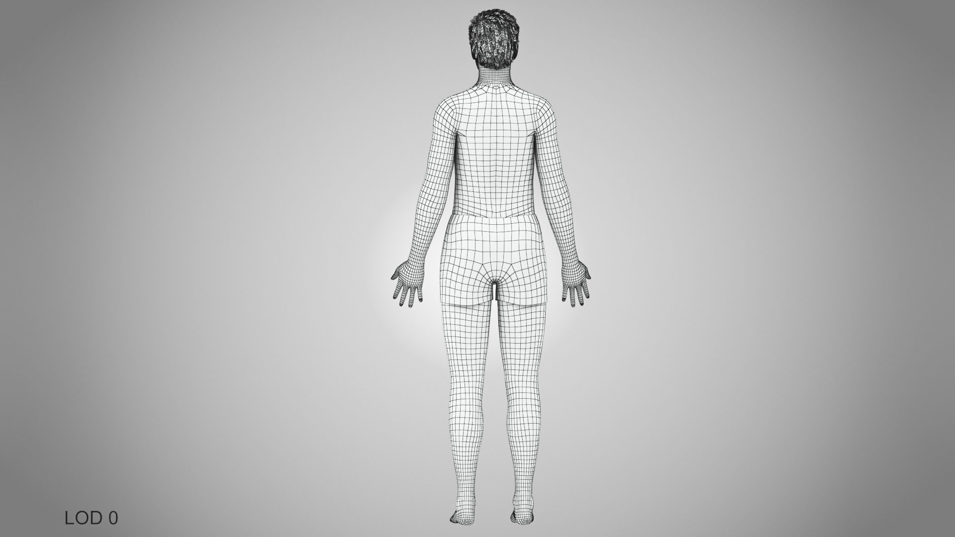 Male reproductive and urinary system Low-poly 3D model_55