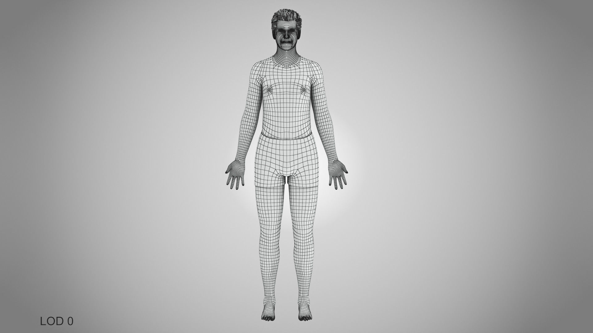 Male reproductive and urinary system Low-poly 3D model_50