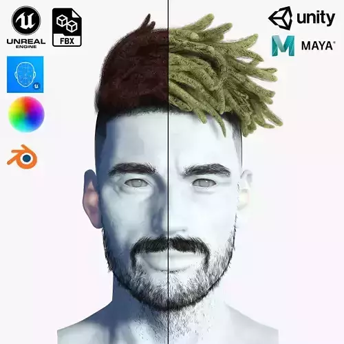 Realistic Hair Male Beard brows mustache p8 card  Low-poly 3D model