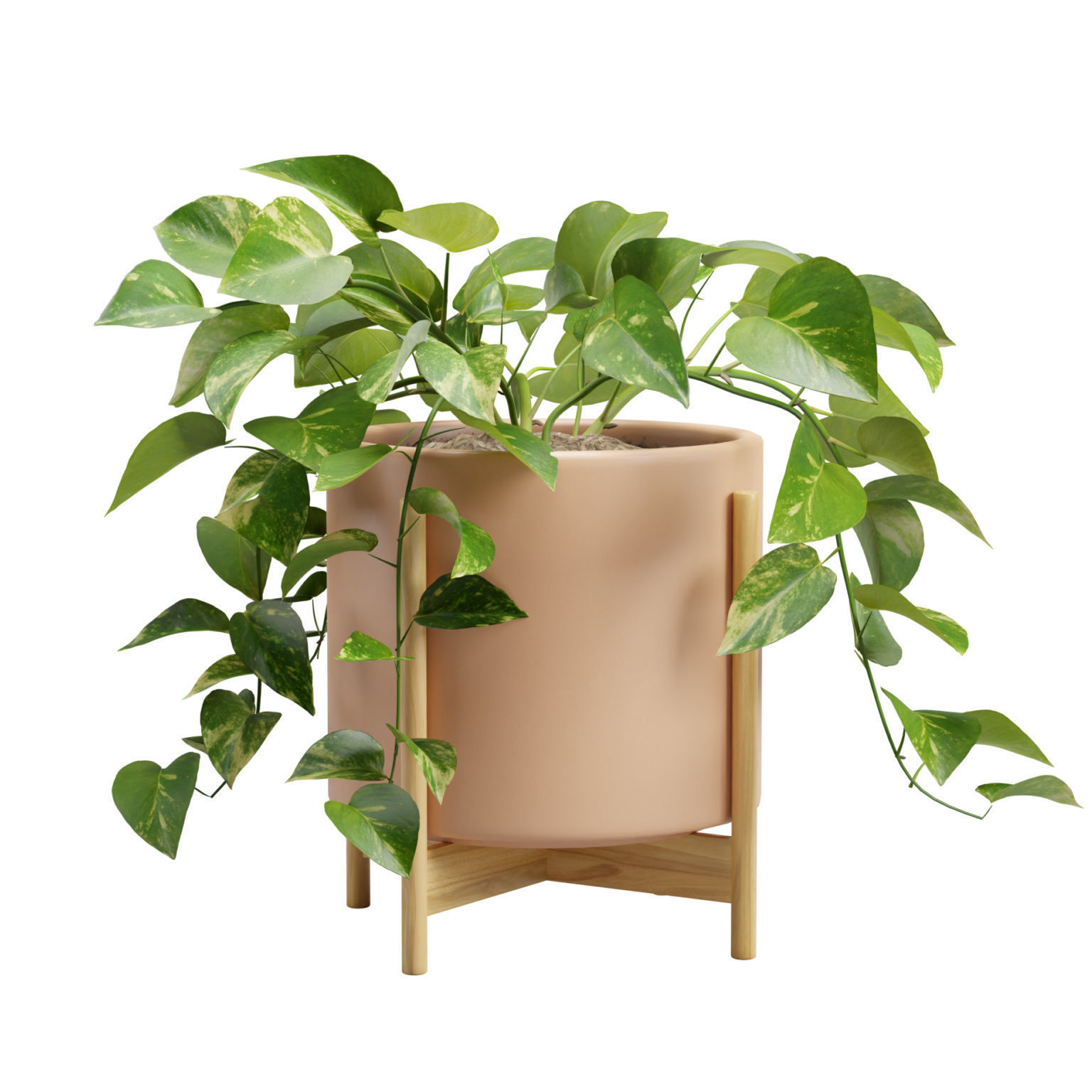 Pothos Plant 3D model_8