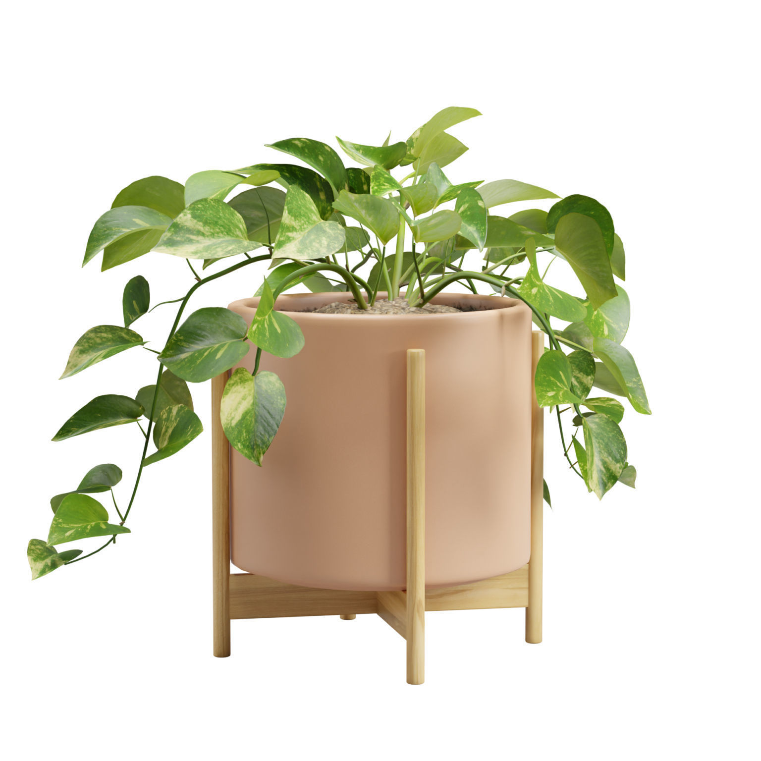 Pothos Plant 3D model_4