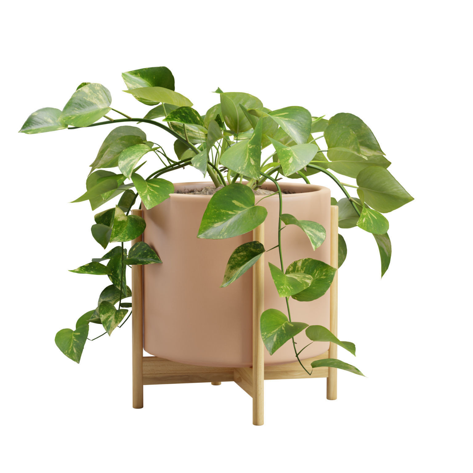 Pothos Plant 3D model_7