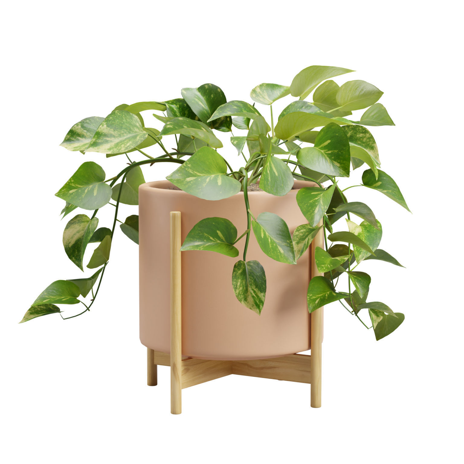 Pothos Plant 3D model_3