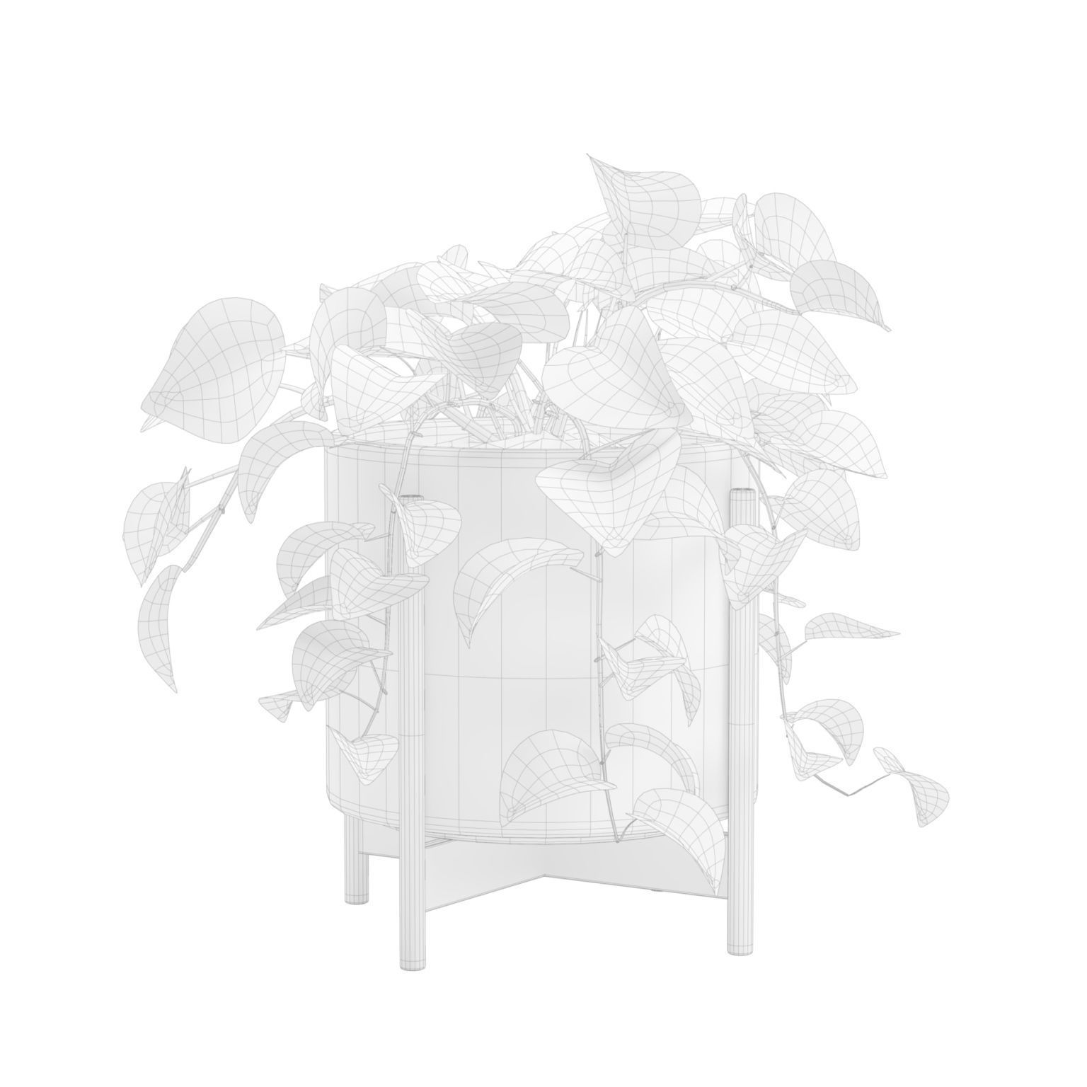 Pothos Plant 3D model_2