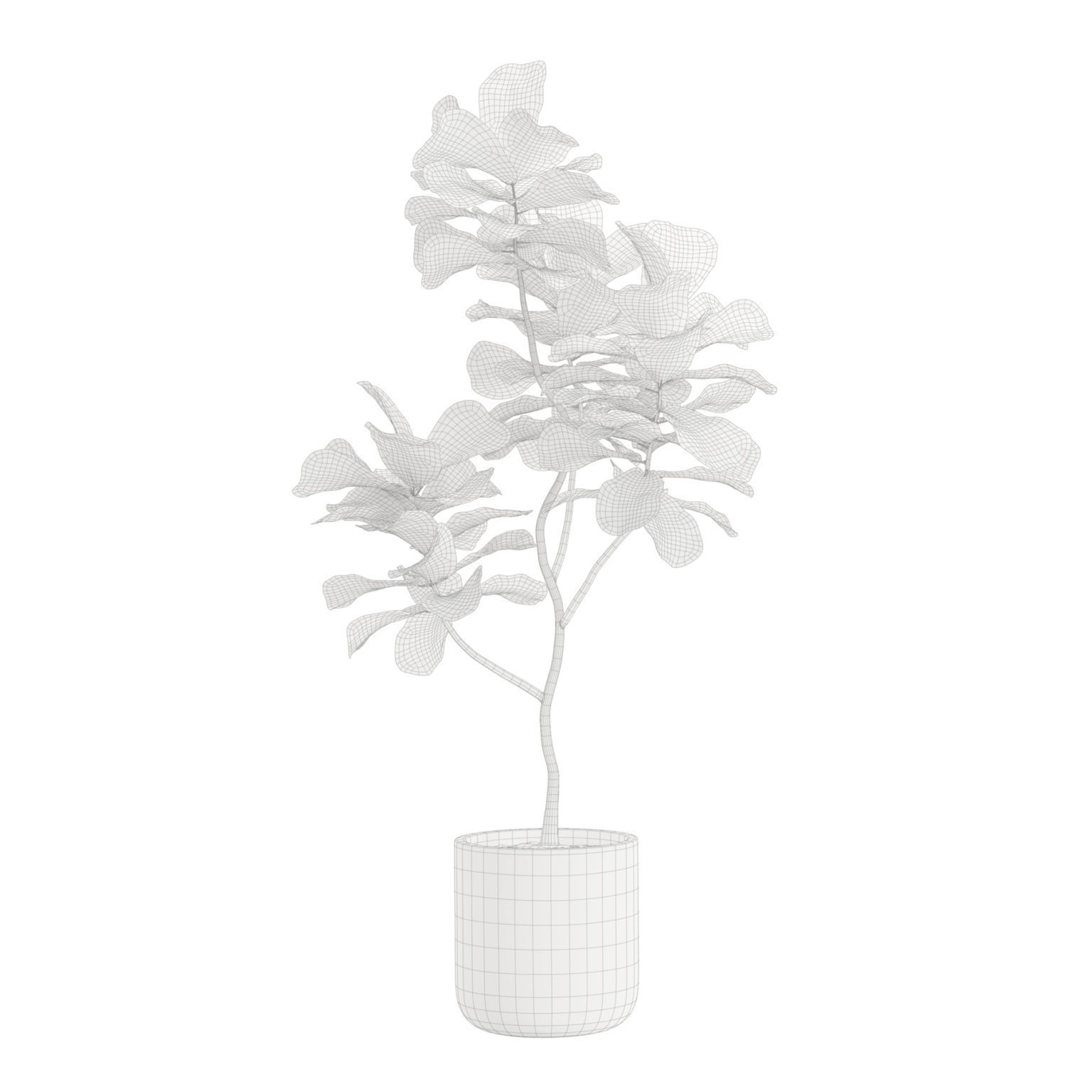 Indoor Plants Pack 24 3D model_6