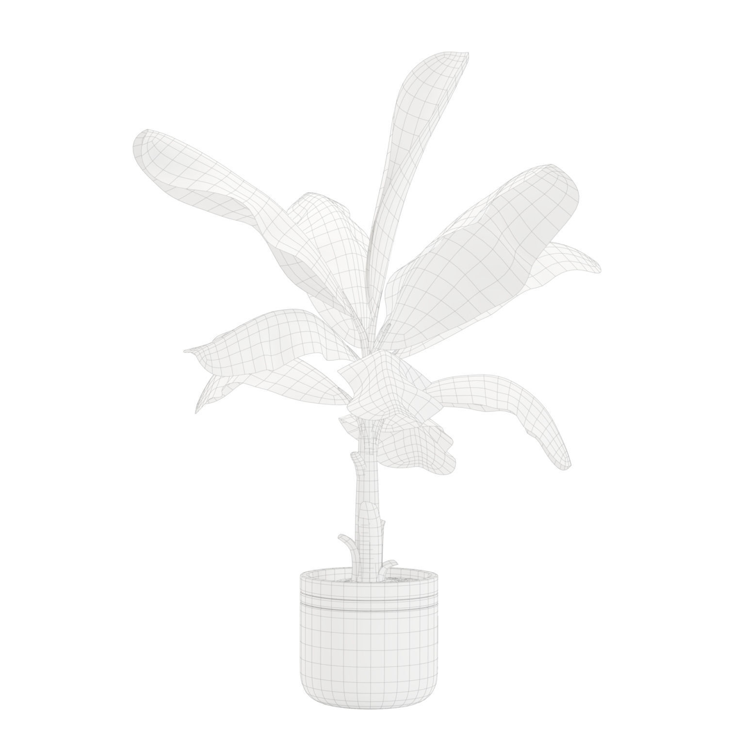 Indoor Plants Pack 24 3D model_10
